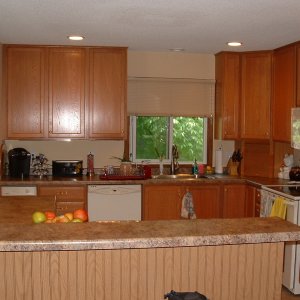 New-Kitchen-Project